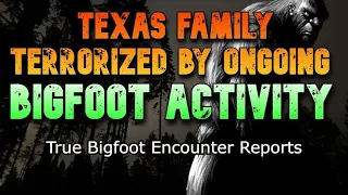 TEXAS FAMILY TERRORIZED BY ONGOING BIGFOOT ACTIVITY