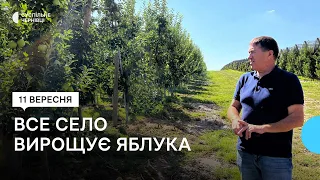 Як повномасштабна війна вплинула на підприємців з Топорівців, де всі вирощують яблука