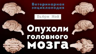 Опухоли головного мозга