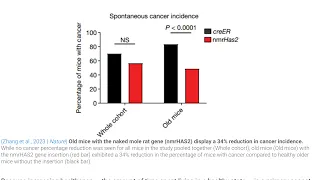 Transferring Longevity Gene nmrHAS2 from Naked Mole Rat Extends Mouse Lifespan | Prof Luigi Fontana