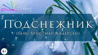 Подснежник | Ханс Кристиан Андерсен | Аудиосказка