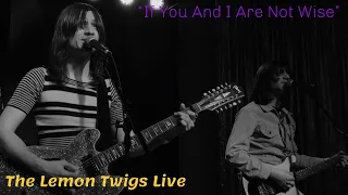 If You And I Are Not Wise - The Lemon Twigs (4K) (Raleigh, NC)