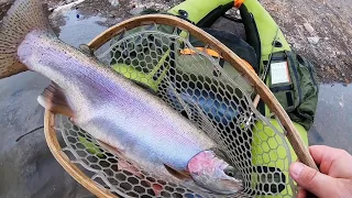 BIGGEST RAINBOW TROUT OF MY LIFE!!! (Catch & Cook)