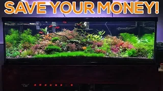 BEGINNER PLANTED AQUARIUM MISTAKES - OVER SPENDING!