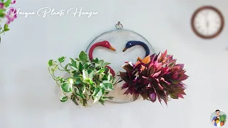 Creative Ways to Use Plants to Decorate Your Front Door | Door Hanging Plants Ideas//MR GREEN PLANTS