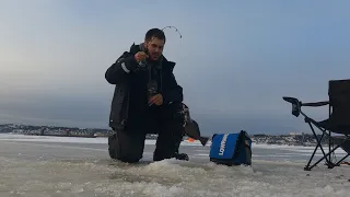 PÊCHE TOUT TERRAIN : Épisode 4 - Première pêche sur le fjord du Saguenay