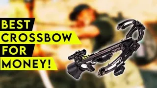 Top 8 Best Crossbow For The Money In 2024! 🔥