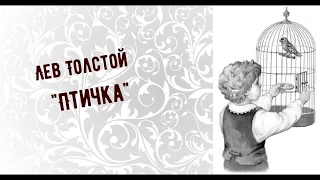 Л. Толстой "Птичка", читает Широкова Олеся