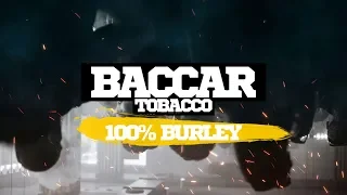 ОБЗОР ТАБАКА | АКЦИЗНЫЙ 100% БЕРЛИ BACCAR TOBACCO