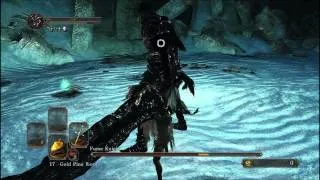 Dark Souls 2: Raime, the Fume Knight SL1 Flawless