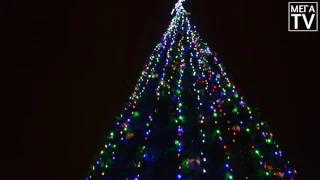 Торжественное зажжение новогодней ёлки в городе Ельце.