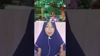 VIRAL❗ADA PENAMPAKAN P0C0NG ASLI DI UPIN IPIN 😱 | Cerita Elpida #shorts