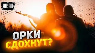 ВСУ зайдут в Мелитополь и орки сдохнут. Пионтковский объяснил "логику" Запада