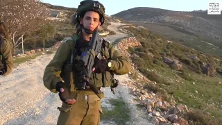 Israeli soldiers attack, arrest B’Tselem volunteer