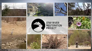 Restoring Endangered Species Habitats on the Otay River