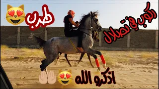 # فلوق (7) ركوب طرب في تصلال استمتع مع الخيل الحاااره🔥🔥