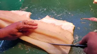 How to Fillet Northern Pike with zero bone!! ( Y bone )