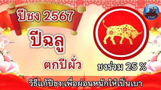 ปีชง2567 ปีฉลูตกปีผั่ว ชงร่วม 25%และวิธีแก้ปีชงเพื่อผ่อนหนักให้เป็นเบา