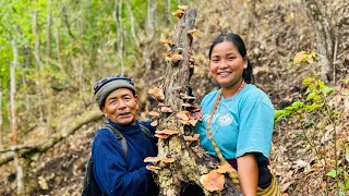 Lekali Local Mushroom 🍄‍🟫 ..Mero baba king of jungle😁#siruthapamagar#villagelife#fatherdaughter#vlog