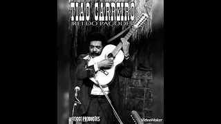 Tião Carreiro - Pagodes de Viola