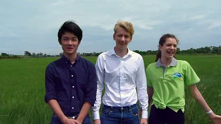 Benefits of Sustainable Rice   Student Documentary