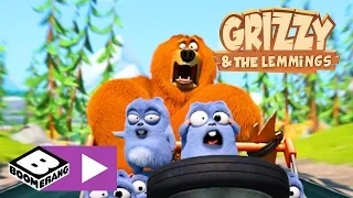 Grizzy en de Lemmings | Rijden met verhoogd risico | Cartoonito