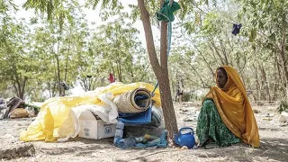 Éthiopie : les oubliés de la région d'Afar