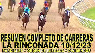 RESUMEN MAS COMPLETO DE CARRERAS HIPICAS #10dic /LA RINCONADA 10/12/23.