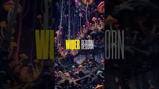 RE:BORN Album Mini Mix Part 1 #infectedmushroom #shorts