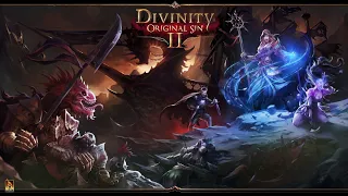 Divinity: Original Sin 2, Прохождение Часть1. (кооператив)