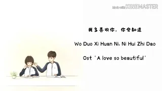 Wo Duo Xi Huan Ni, Ni Hui Zhi Dao (Ost A love so beuatiful) // lyrics (Hanzi, Pinyin) + arti English