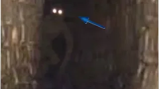 SEWER MONSTER CAUGHT ON CAMERA- Original Footage