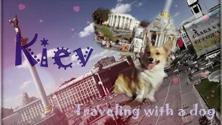 Traveling with а dog. Kiev 2015 / Путешествуем с собакой. Киев 2015
