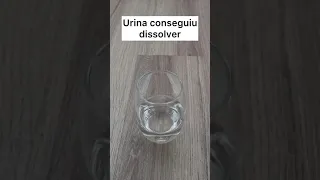 Como se forma uma Pedra no Rim?