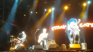 Rock this town The Stray Cats American Tours festival 2019  40 EM ANNIVERSAIRE