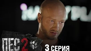 Сериал Пес - 2 сезон - 3 серия