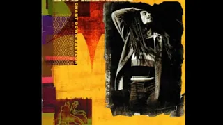 Bob Marley - Roots, Rock, Reggae ft. Joe Perry, Steven Tyler - (Chant Down Babylon album)