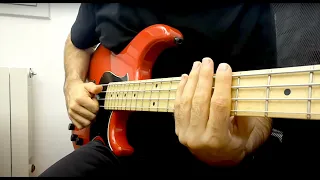 SLAP BASS TUTORIAL (Open-Hammer-Pluck) by Miki Santamaria (with english subtitles)