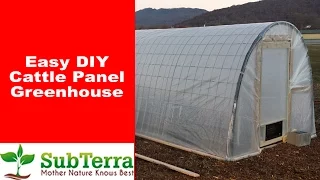 Easy DIY Cattle Panel Greenhouse or Hoop House