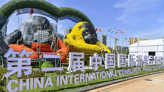 Hainan to host 2nd China International Consumer Products Expo