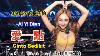 王力宏 ft.章子怡 - 愛一點 (Dj抖音版) - Ai Yi Dian [Cinta Sedikit] Hot Remix Tiktok Douyin Dj抖音版2022 ||Terjemahan