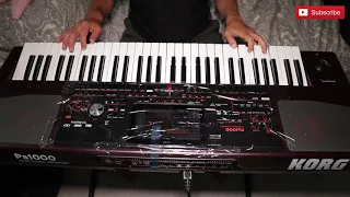 KORG PA 1000 Мальчишник ночь