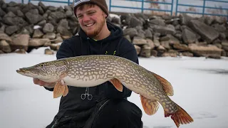 Jigging For Northern Pike (Catch Clean Cook) | Wisconsin Ice Fishing
