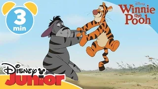 The Mini Adventures of Winnie the Pooh | Tigger and Eeyore | Disney Junior UK