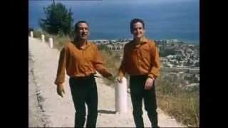 Dudaim הדודאים - Rad Halaila רד הלילה (Israel, 1967)