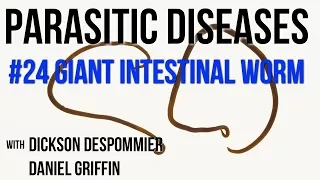 Parasitic Diseases Lectures #24: Giant Intestinal Worm