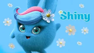 Cartoons for Children | SUNNY BUNNIES - BEST OF SHINY | Funny Cartoons For Children