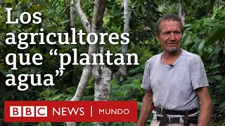 Los agricultores que convirtieron un desierto en un bosque | BBC Mundo