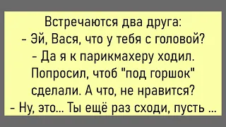 🤡Решили Провести Чемпионат По Футболу Среди...Подборка Смешных Анекдотов,Для Супер Настроения!