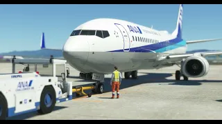 Kansai to Okinawa - ANA1737 - Microsoft Flight Simulator 2020